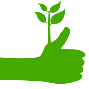 Pflanzarbeiten - Gartens vereint viele Elemente anderer Gartenformen Pflanzarbeiten - Gartens vereint viele Elemente anderer Gartenformen